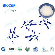 100b CFU/G Probiotics B. Bifidum